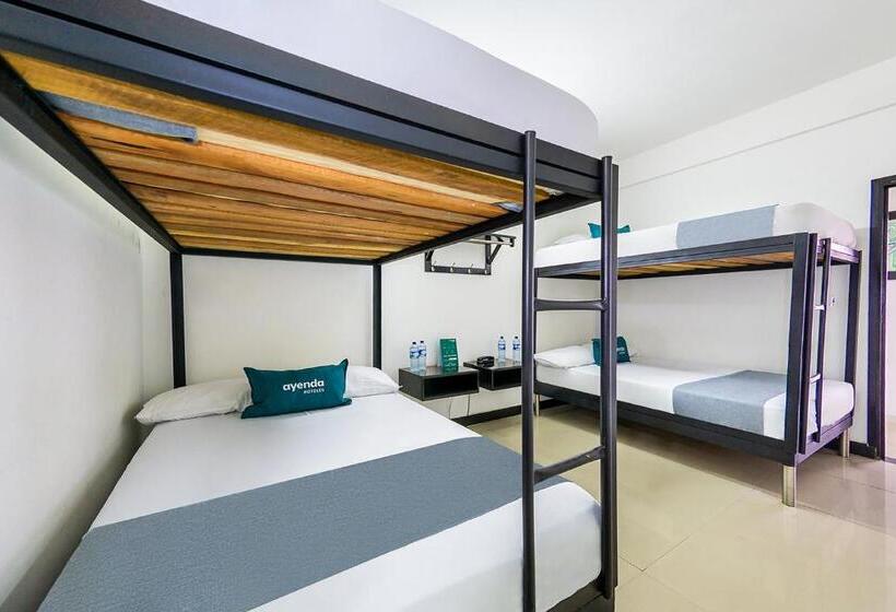 スタンダード４人部屋, Ayenda Mirador Del Cafe