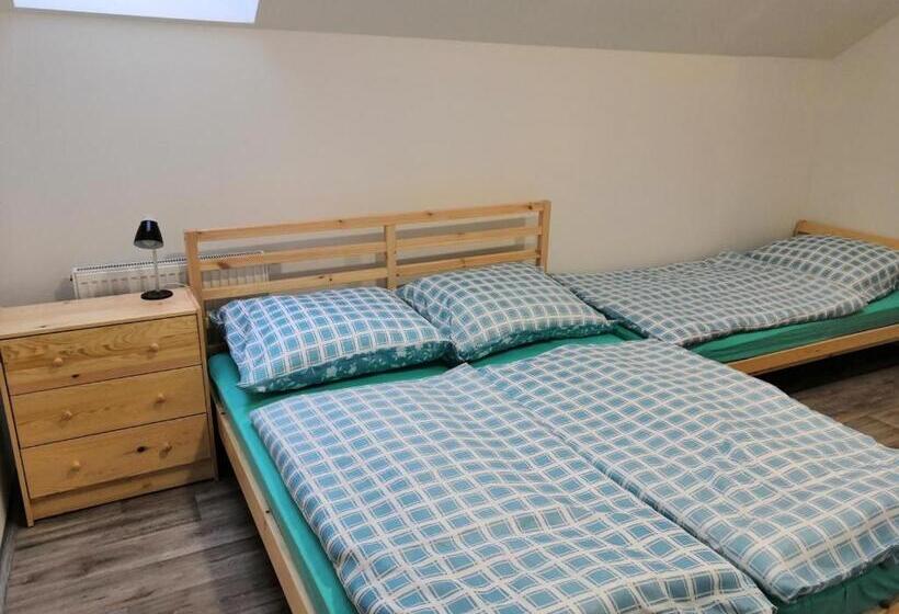 テラス付き１ベッドルームアパートメント, Penzion Dajan