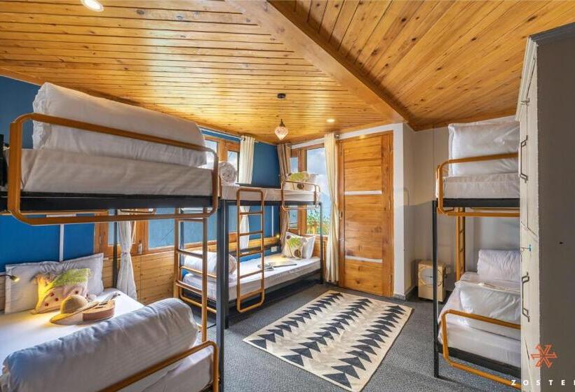 ルームシェアのワンベッド, Zostel Shoja, Jibhi