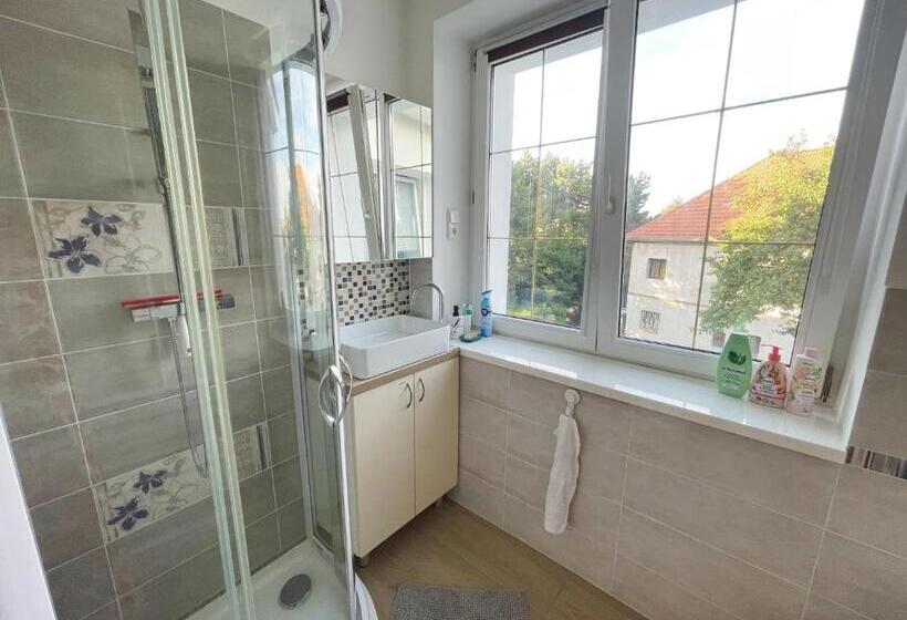 Quarto Estandar Individual, Biomade