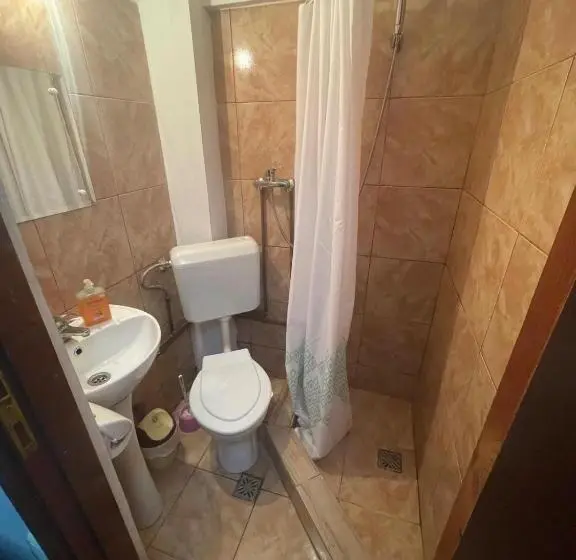 اتاق اکونومی, Vila Movilă