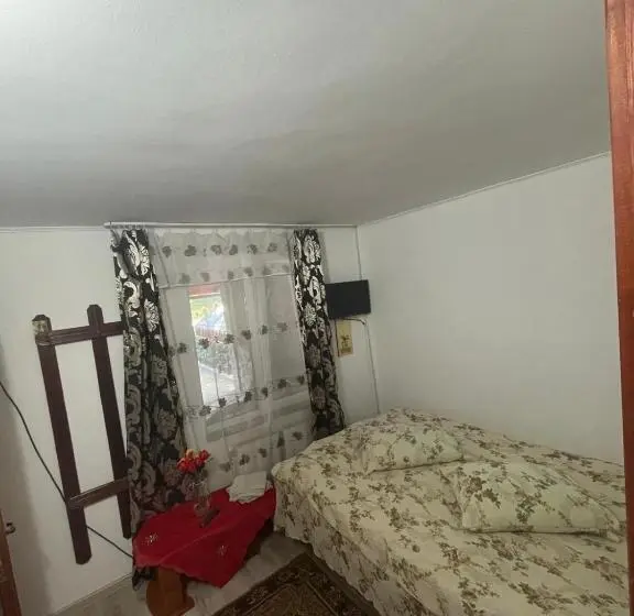 اتاق اکونومی, Vila Movilă