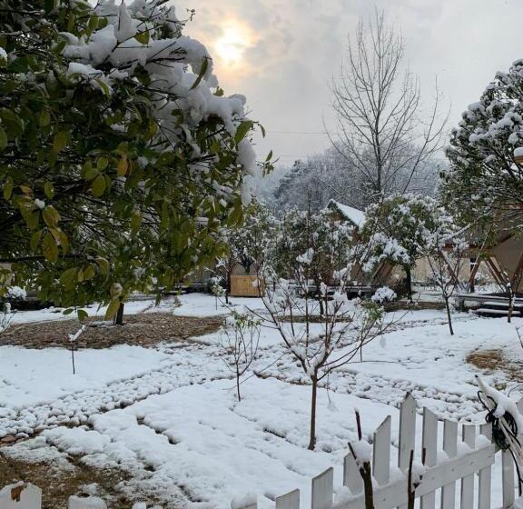 Люкс Вид на Сад, Zhangjiajie Cliff Flower Rv Tent