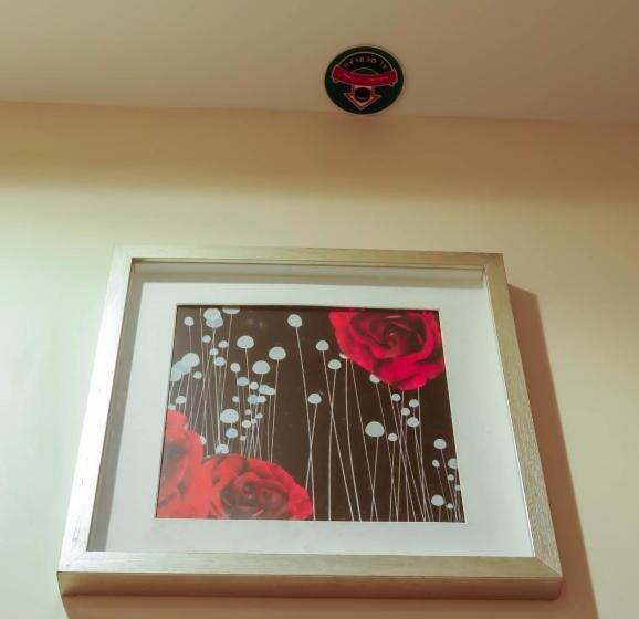 غرفة قياسية, رؤى للشقق المخدومة