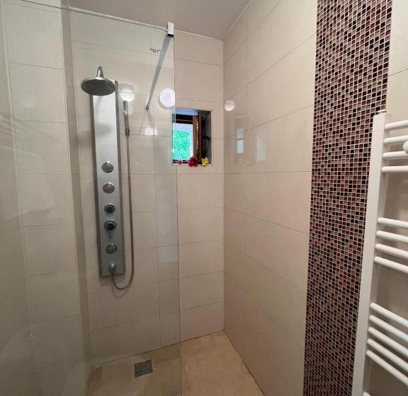 Номер Стандарт, Pensiunea Casa Copou