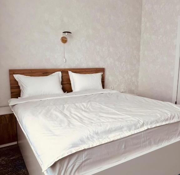 اتاق استاندارد, Bereket Karaganda