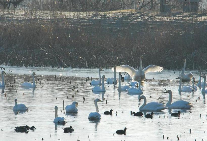 Habitación Estándar con Vistas, 里沼リゾート　hotel Komorinu