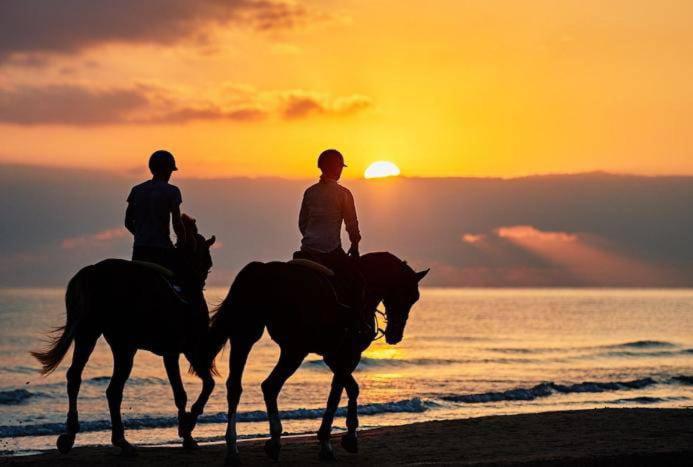 غرفة قياسية, Modern Loft 2brd