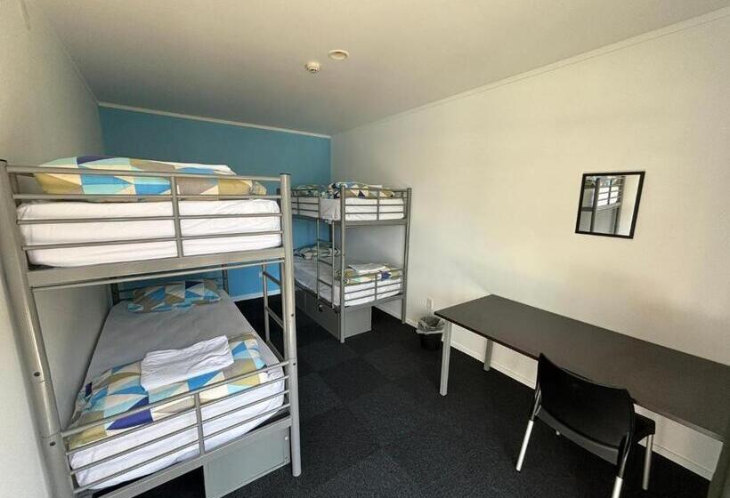 공동 객실, Palm Tree Lodge & Backpackers