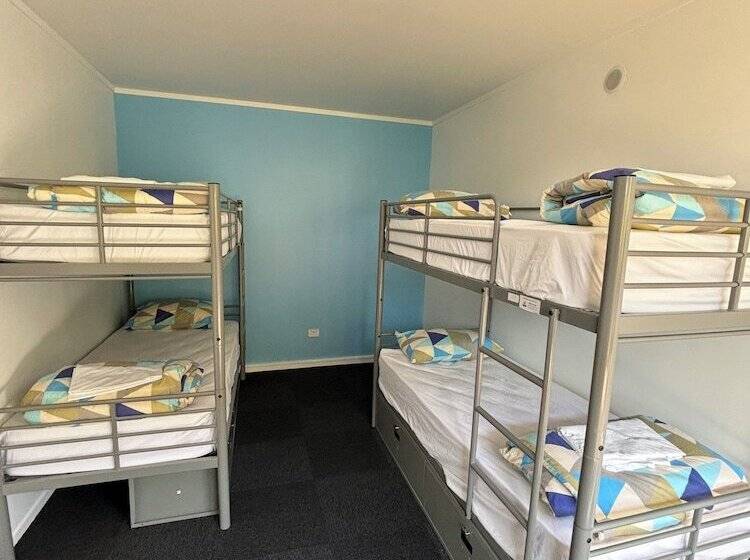 공동 객실, Palm Tree Lodge & Backpackers