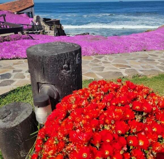 شقة غرفة نوم واحدة مزودة بشُرفة, Ocean View Rosarito Worldmark Resort Condo