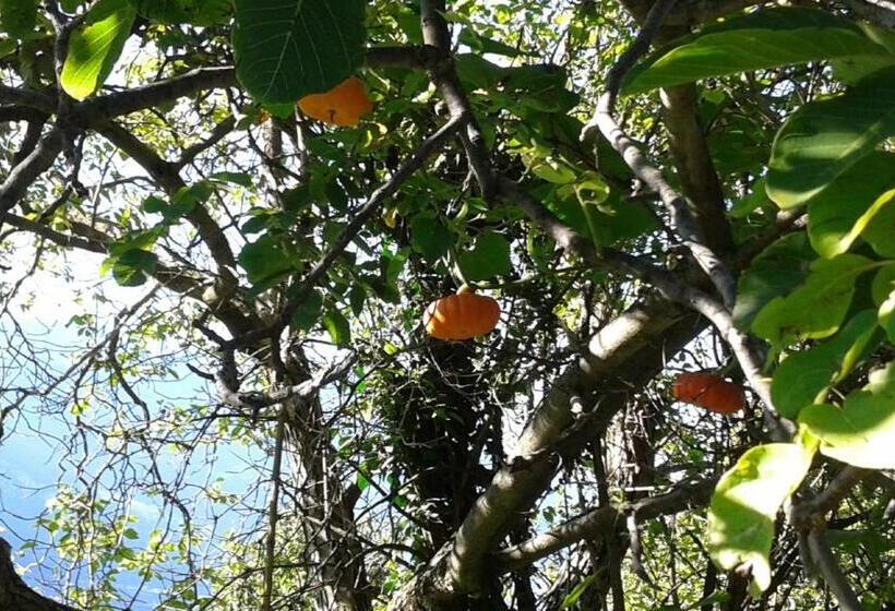 חדר סטנדרט נוף לבריכה, B&b Klammhof Panorama