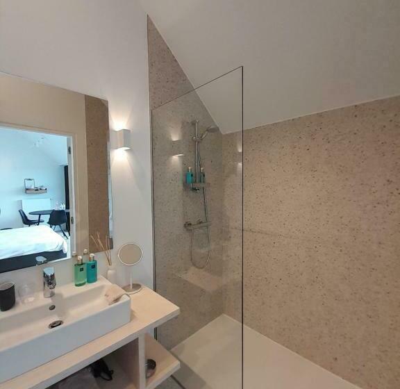 غرفة قياسية مزوَّدة بتراس, B&b De Stuifduinen