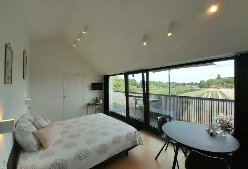 テラス付きスタンダードルーム, B&b De Stuifduinen