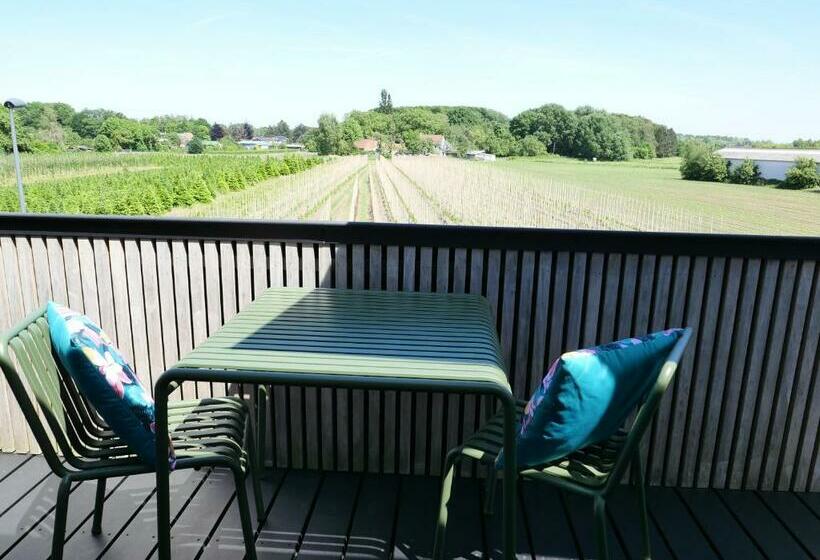 Номер Стандарт с Террасой, B&b De Stuifduinen