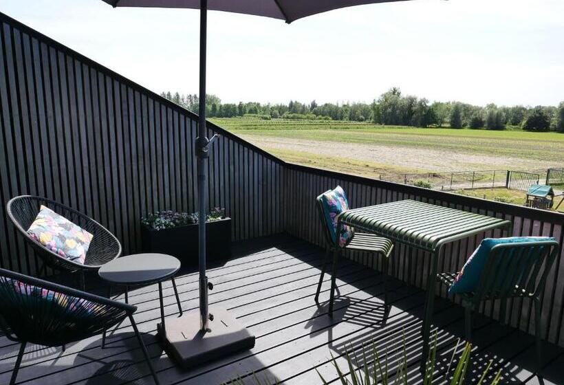 غرفة ديلوكس, B&b De Stuifduinen