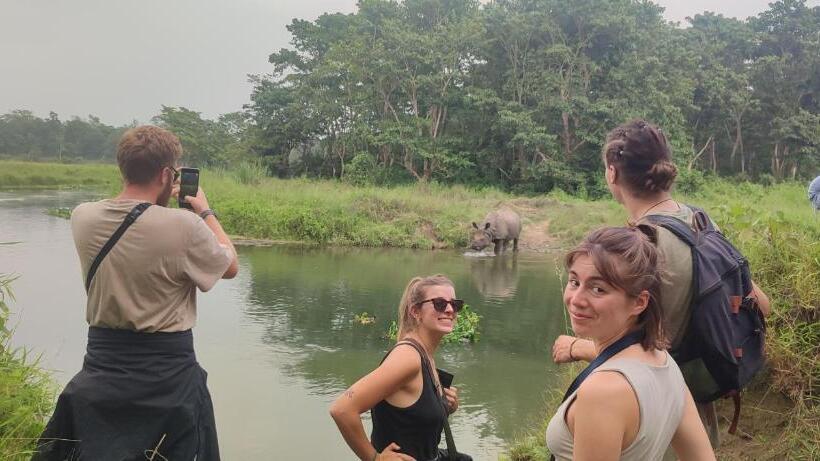 اتاق خانوادگی با چشم‌انداز باغ, Rhino Land, Sauraha