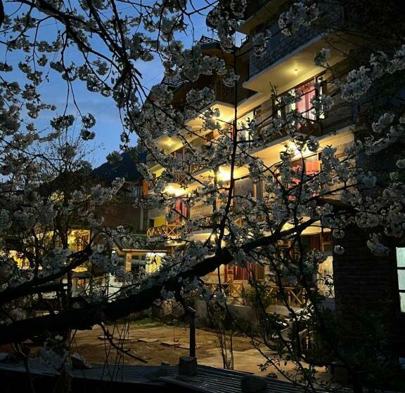Deluxe Room Mountain View, Yolo Backpackers Max   Manali