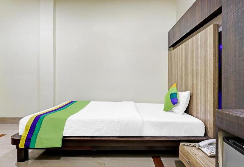 Economy Kamer, Treebo Apollo