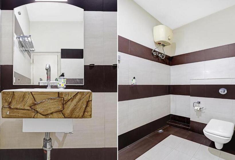 StandaardKamer, Treebo Apollo