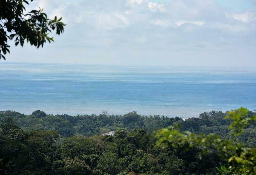 جناح سرير كينج, Casa Del Toucan