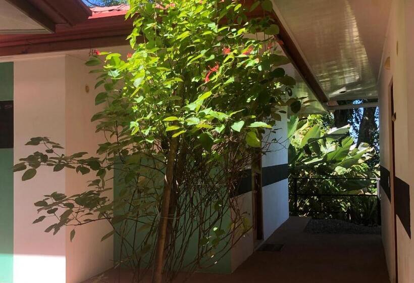 جناح سرير كينج, Casa Del Toucan