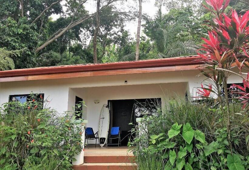 جناح سوبيريور مطل علي البحر, Casa Del Toucan