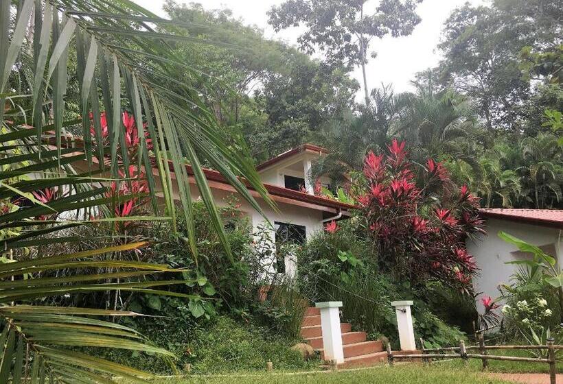 جناح سوبيريور مطل علي البحر, Casa Del Toucan