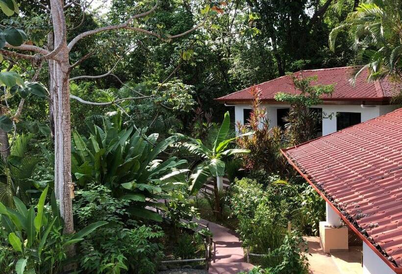 جناح سوبيريور مطل علي البحر, Casa Del Toucan