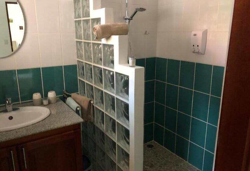 스위트, Casa Del Toucan