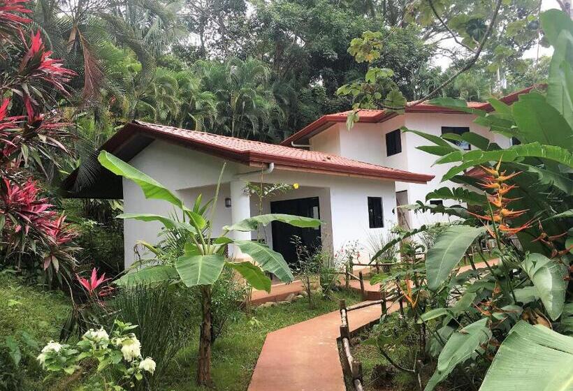 إستوديو قياسى, Casa Del Toucan