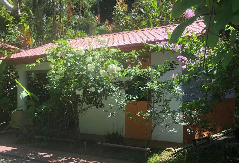 스탠다드 스튜디오, Casa Del Toucan