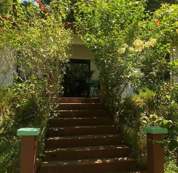 جناح سوبيريور مطل علي البحر, Casa Del Toucan