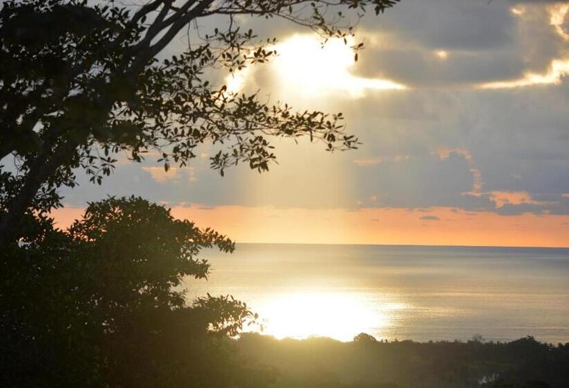 جناح, Casa Del Toucan