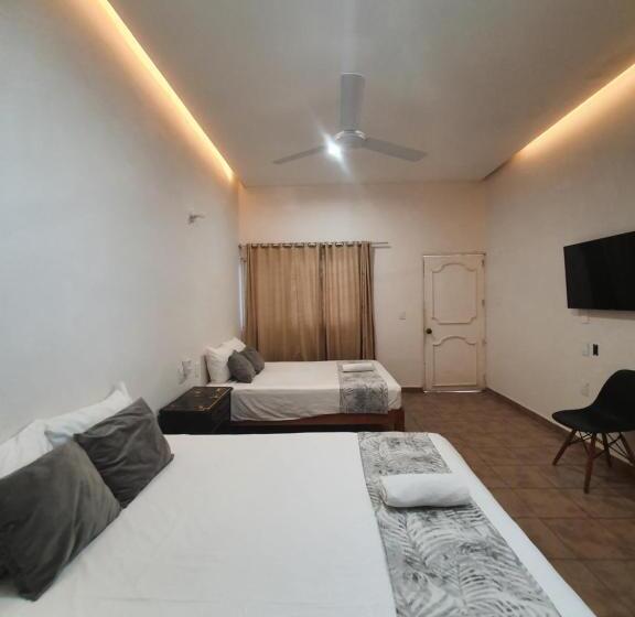 اتاق سوپریور چهار تخته, Du