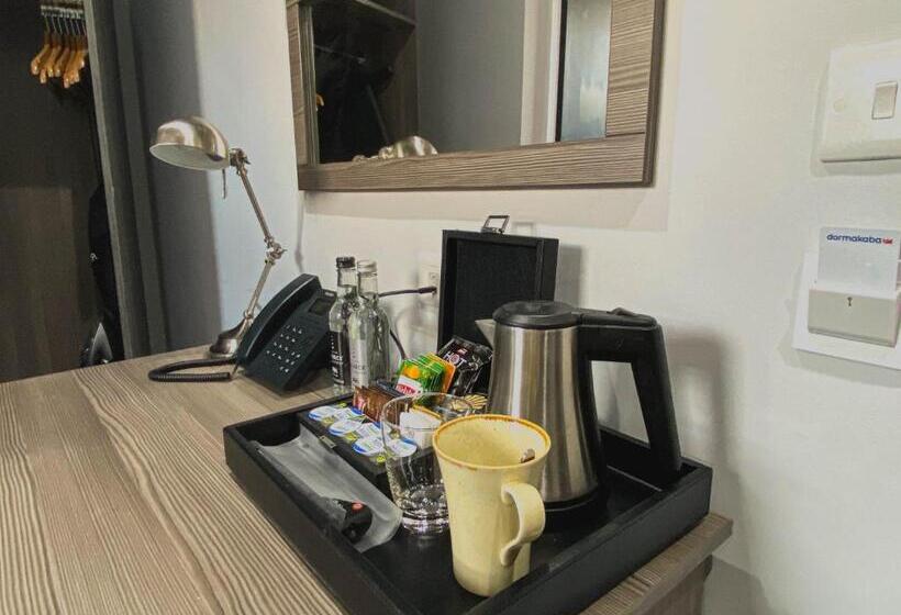 غرفة قياسية فردية, Belmont Llandudno