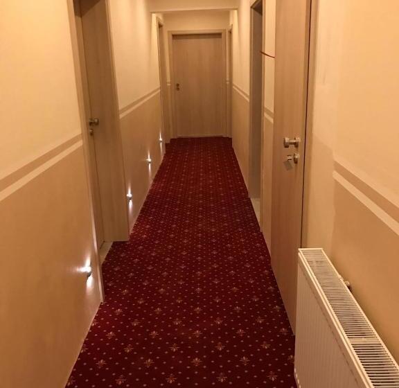 스탠다드 싱글 룸, Sophia