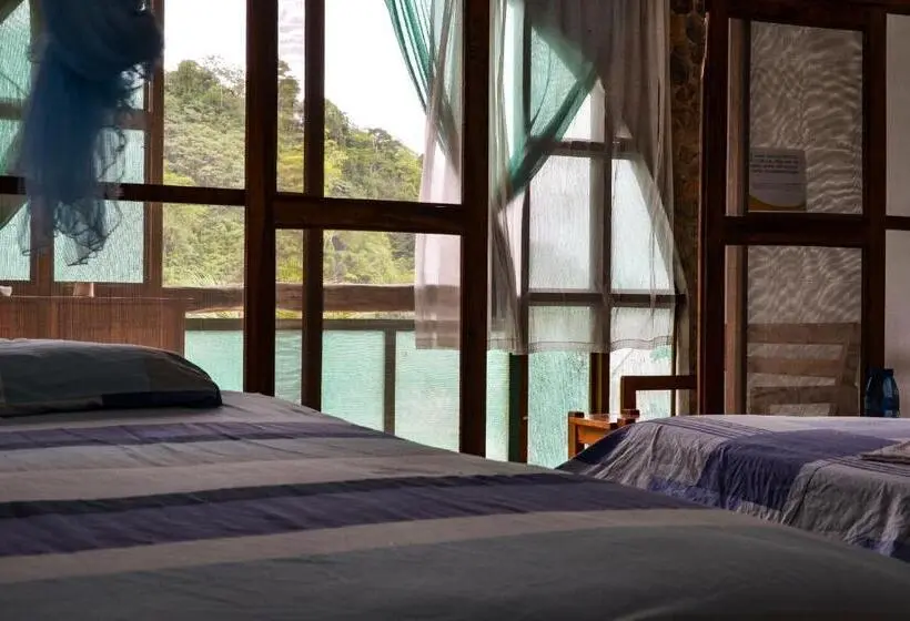 ルームシェアのワンベッド, Lobo Hostel   Rurrenabaque