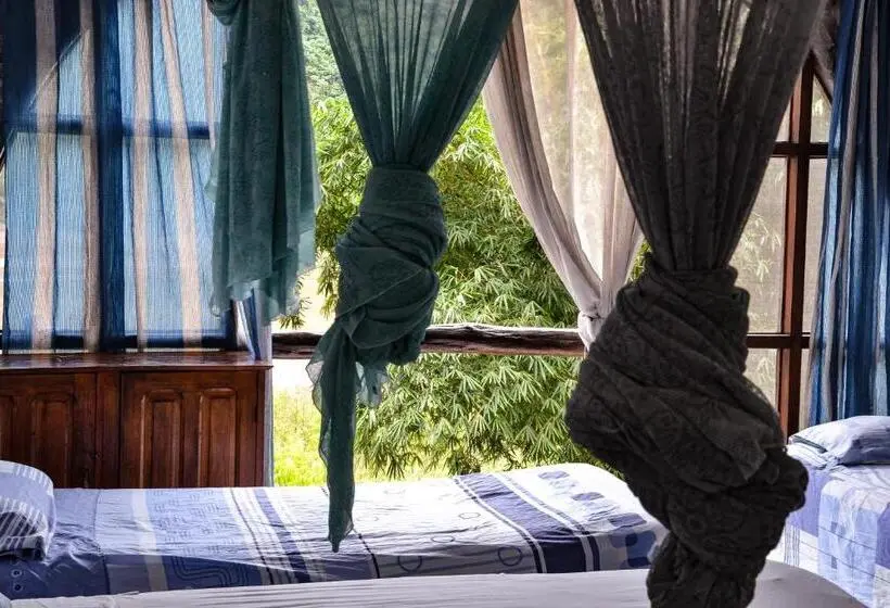 ルームシェアのワンベッド, Lobo Hostel   Rurrenabaque