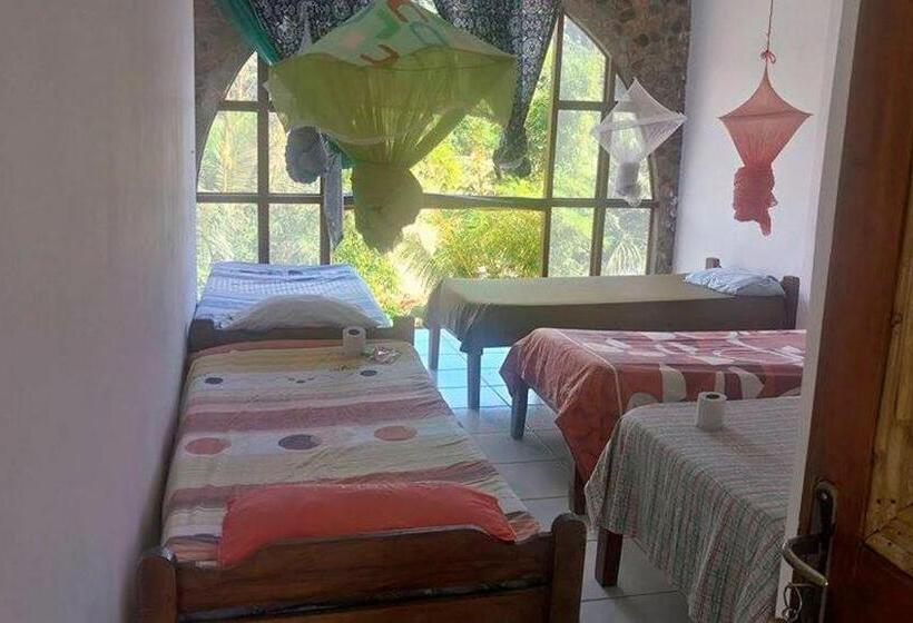 تختخواب در اتاق مشترک, Lobo Hostel   Rurrenabaque