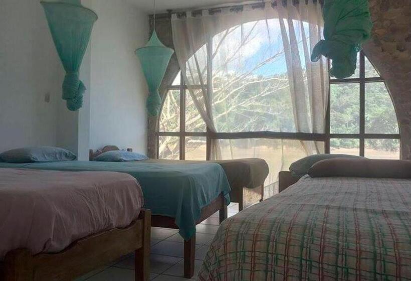 تختخواب در اتاق مشترک, Lobo Hostel   Rurrenabaque