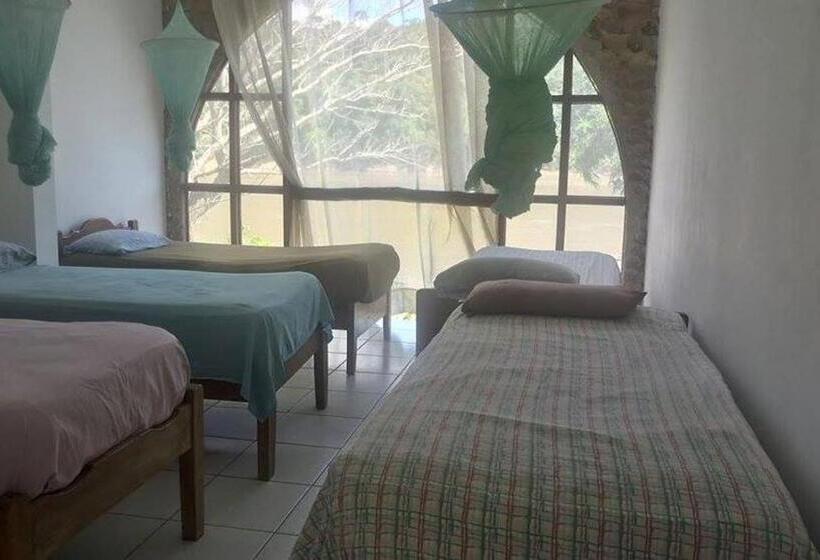تختخواب در اتاق مشترک, Lobo Hostel   Rurrenabaque