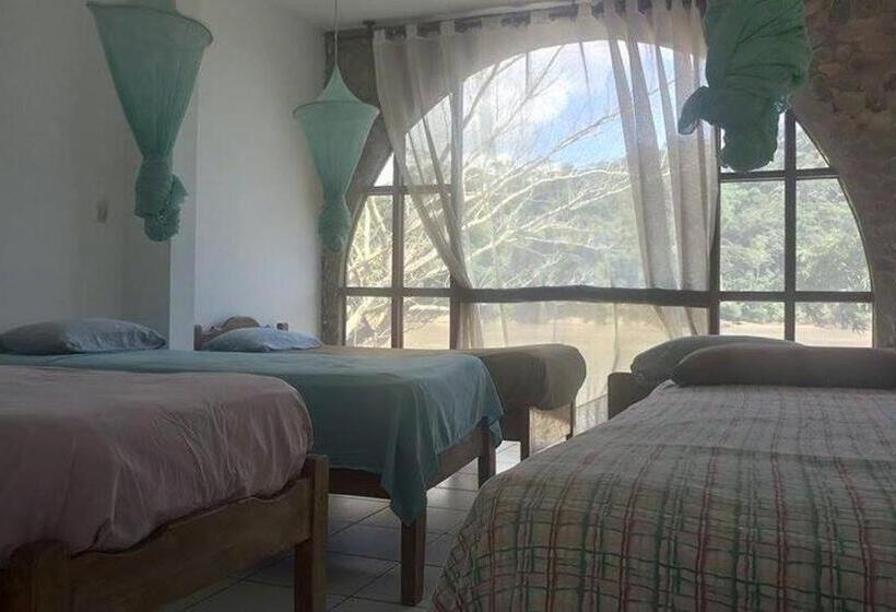 تختخواب در اتاق مشترک, Lobo Hostel   Rurrenabaque