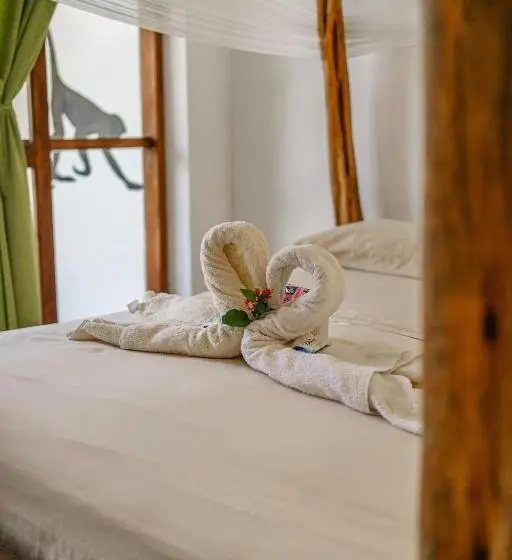 スタンダードルーム, Lobo Hostel   Rurrenabaque