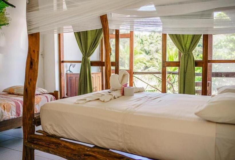 اتاق خانوادگی, Lobo Hostel   Rurrenabaque