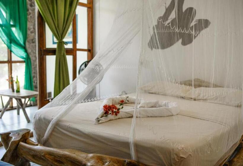 اتاق خانوادگی, Lobo Hostel   Rurrenabaque