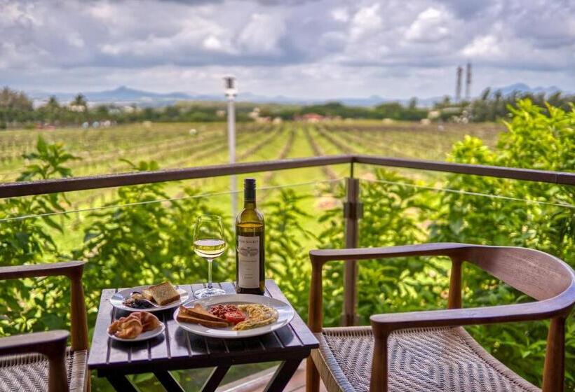 Casa 1 Quarto, The Source At Sula