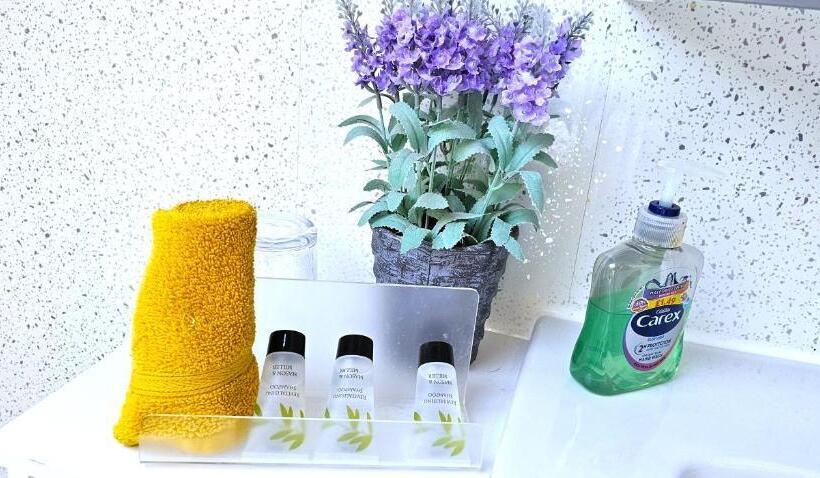 单人经济间, Mystayinn Kinloch Lodge