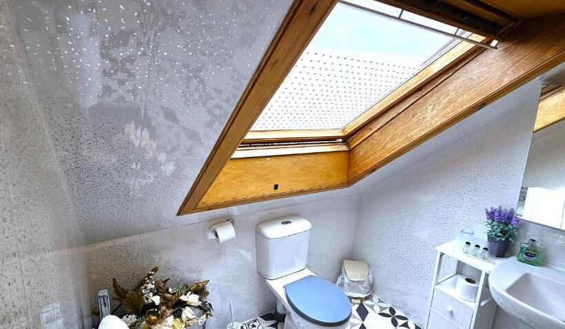 标准单人间, Mystayinn Kinloch Lodge