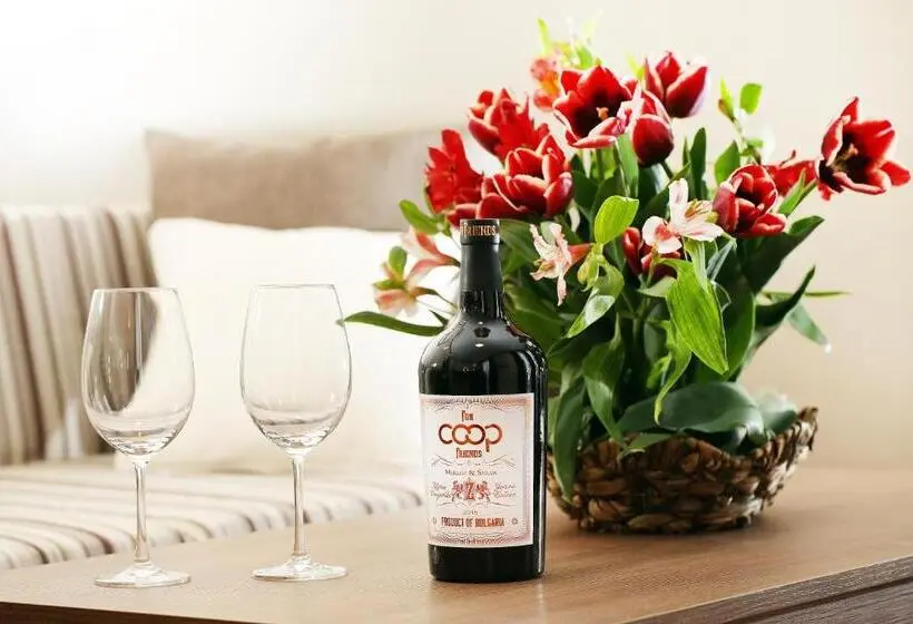 Éénpersoons Deluxe Kamer, Coop Sofia